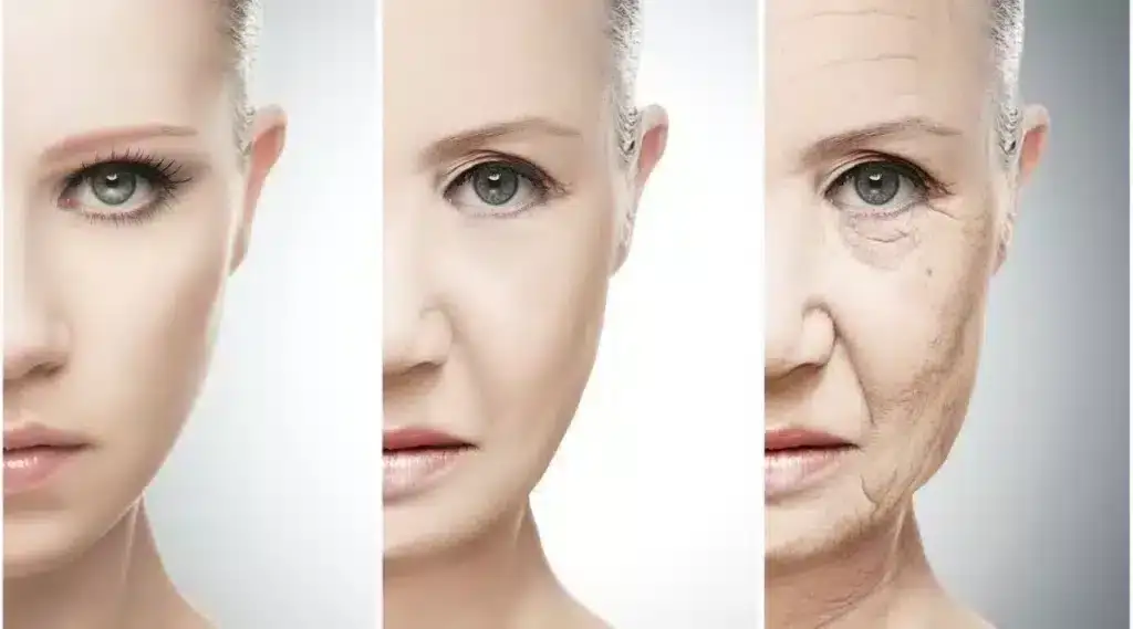 types of aging